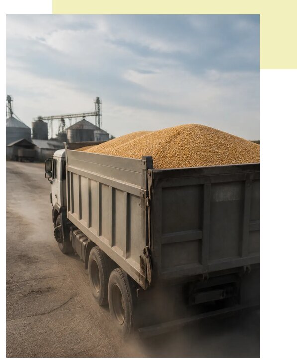 Перевозка сельхозпродукции навалом в Рыбинск по цене от 3122 р. | Агросервис-Рбн