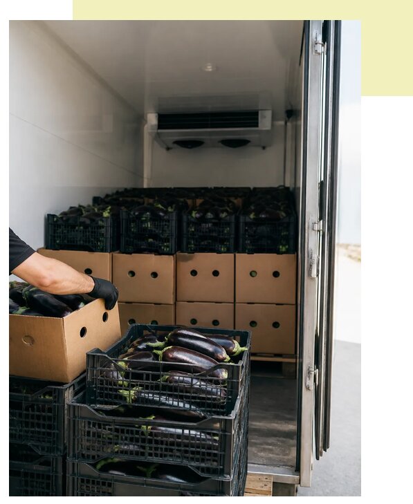 Перевозка баклажанов в Рыбинск по цене от 5204 р. | Агросервис-Рбн