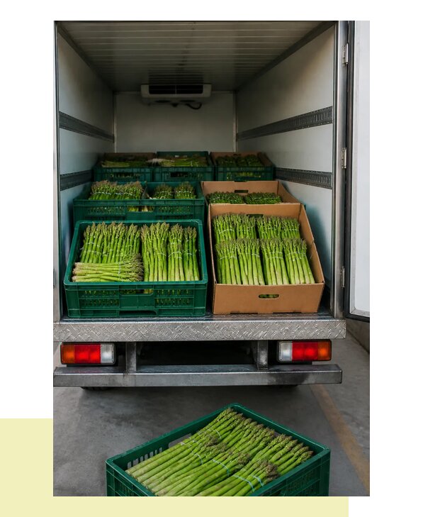 Перевозка спаржи в Рыбинск с соблюдением температурного режима